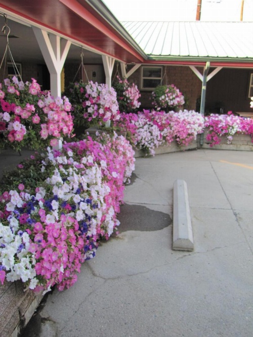 Greybull Motel image 19