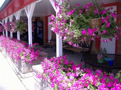 Greybull Motel image 25