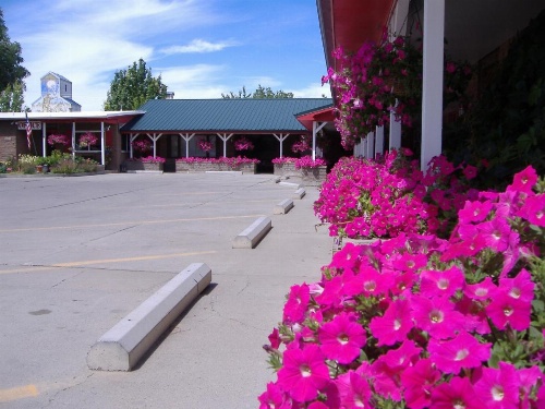 Greybull Motel image 29